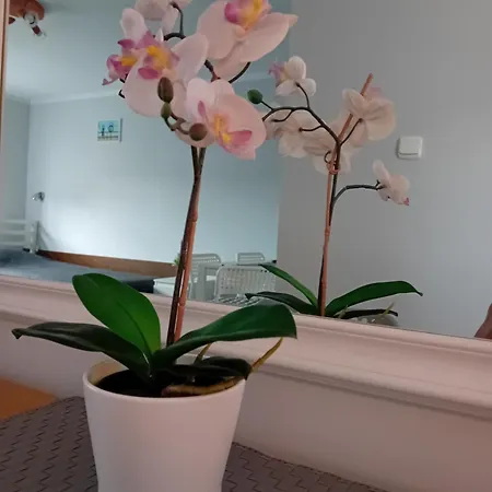 Grazyna Accommodatie bij particulieren