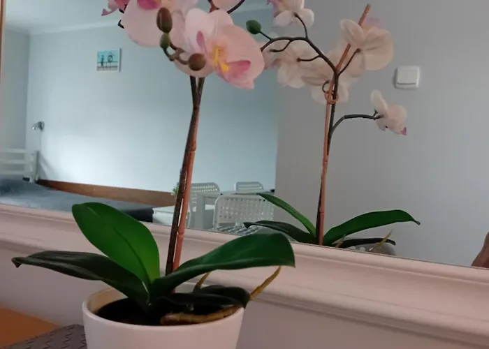 Grazyna Rum i privatbostad